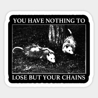 based possums Sticker